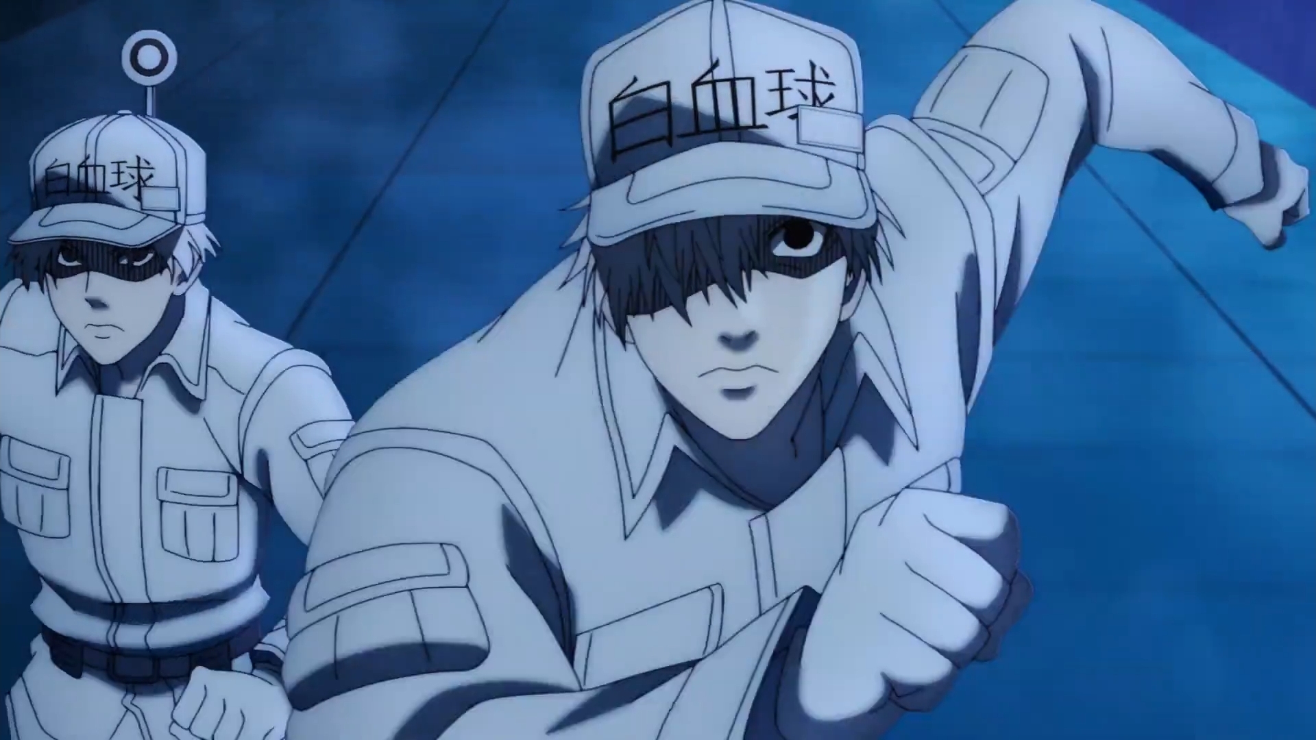 工作细胞第二季公开新pv:血小板被白血球吓得瑟瑟发抖,好可爱