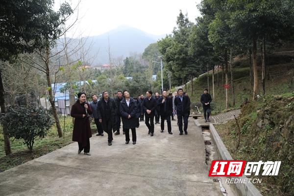 中林集团(中林集团 三峡集团)