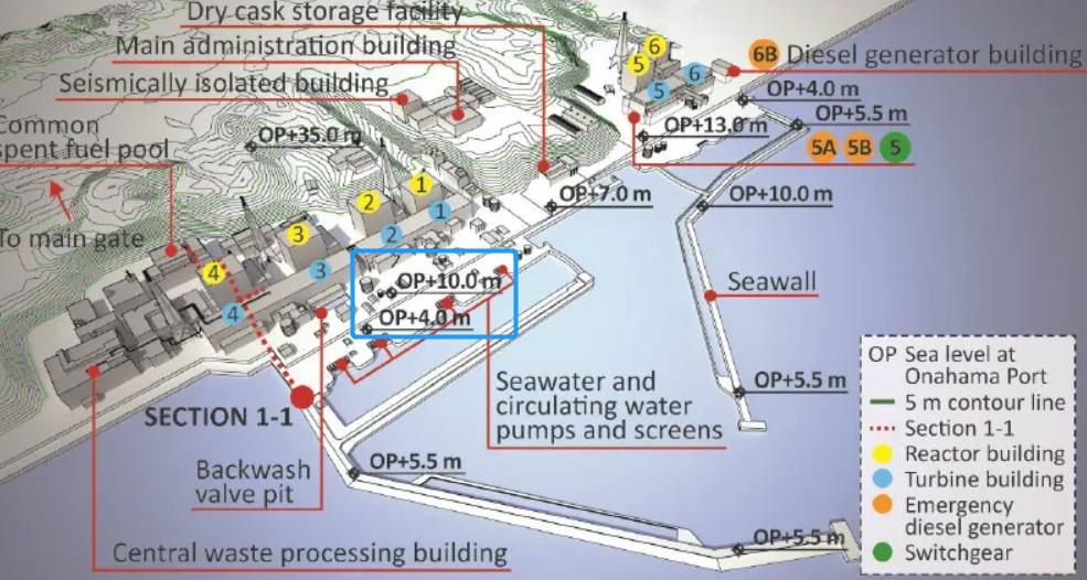 福岛第一核电站距海平面高度示意图 ,图片来源:iaea 事故报告