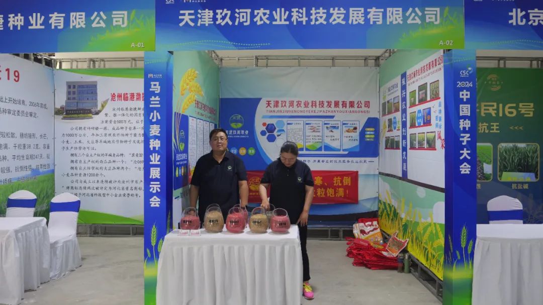 将在我市马兰农场举行