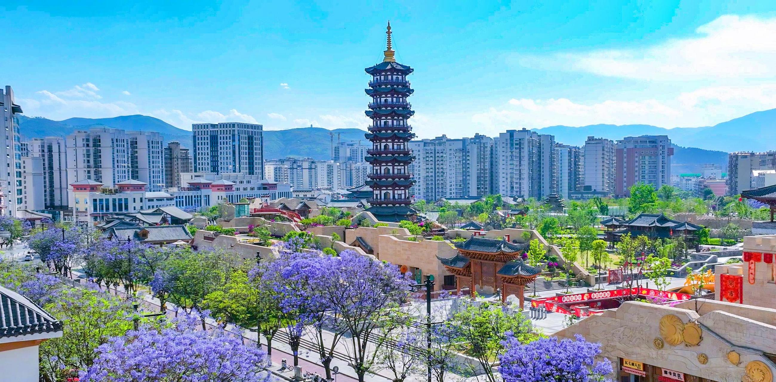 近日,四川省西昌市城区的蓝花楹逐渐盛开,将城市装扮成了浪漫的蓝紫色