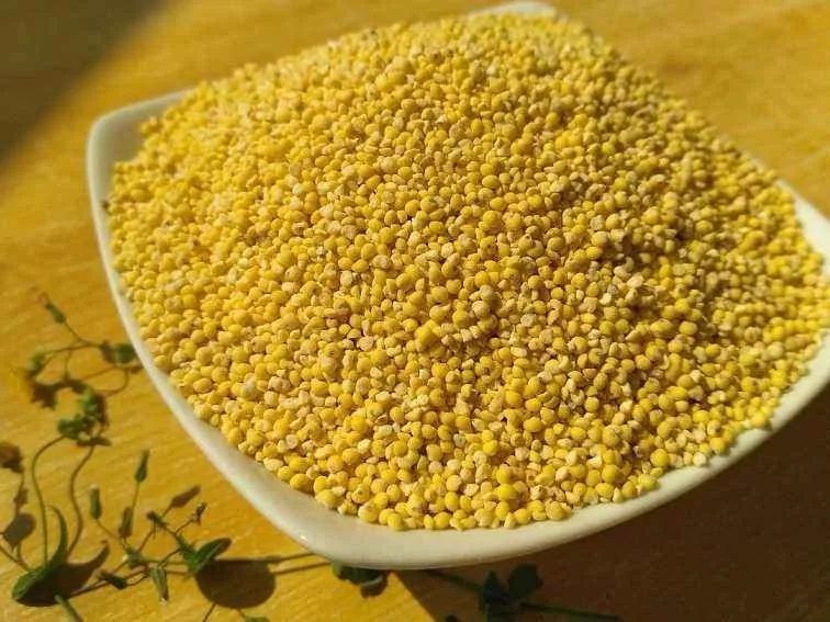 泽州美食|黍米饭,记忆里香甜的味道