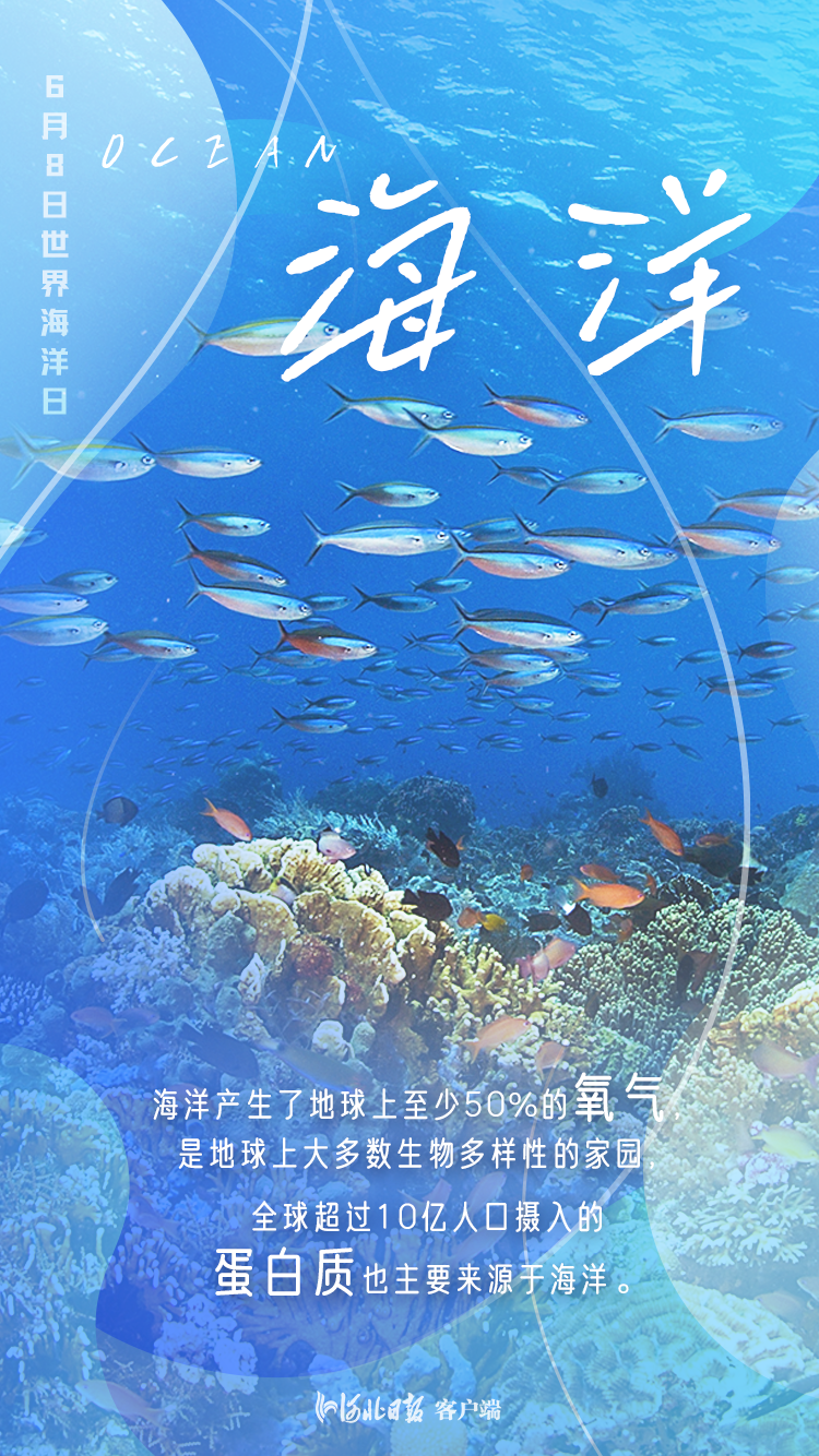 保护海洋生物图片图片