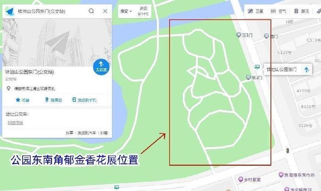 钵池山公园郁金香位置图片
