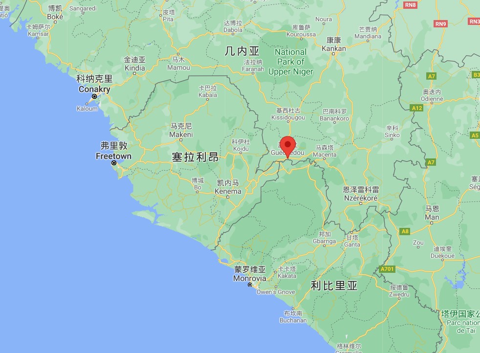 埃博拉"近亲"又来!几内亚现西非首例马尔堡病毒死亡病例