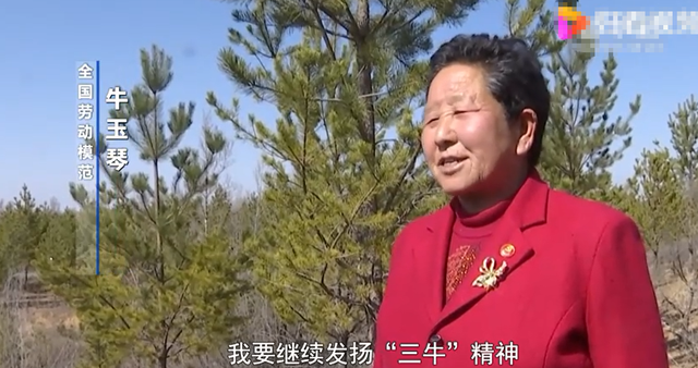 同样是治沙人,陕北农妇牛玉琴靠治沙成富婆,如今70多岁神采奕奕