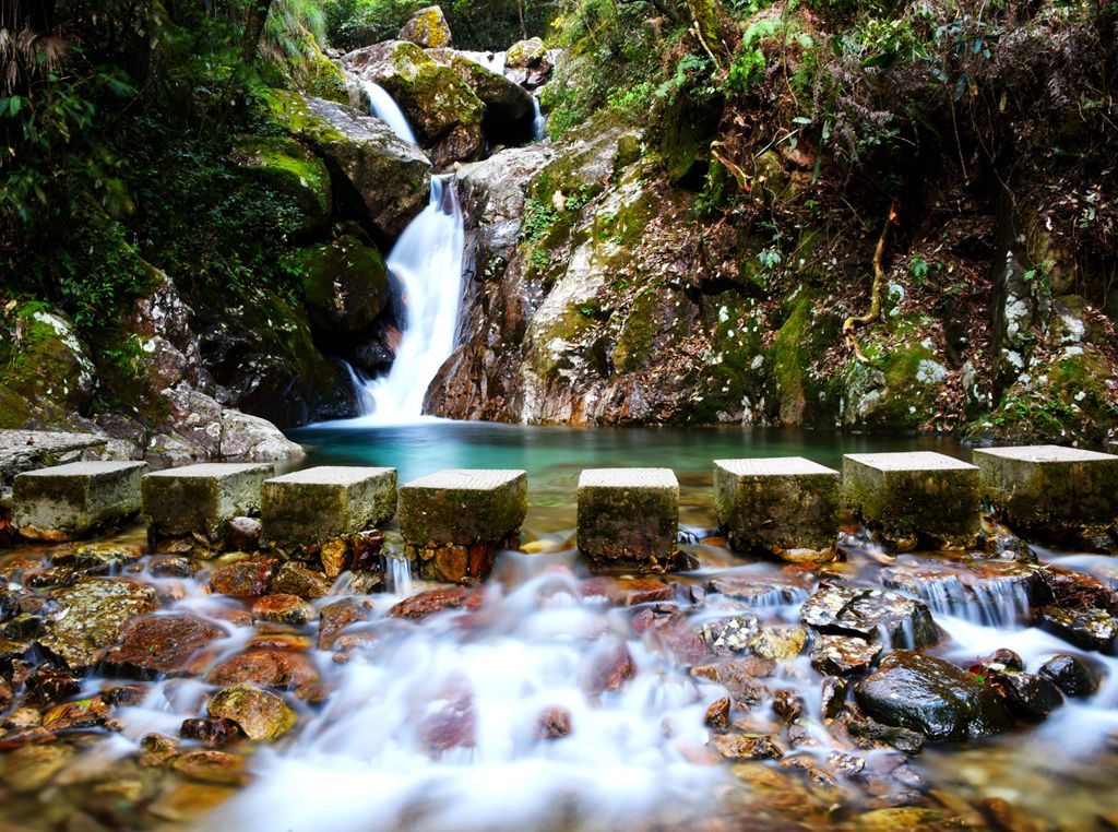浙江松阳箬寮原始林景区避暑农家乐推荐