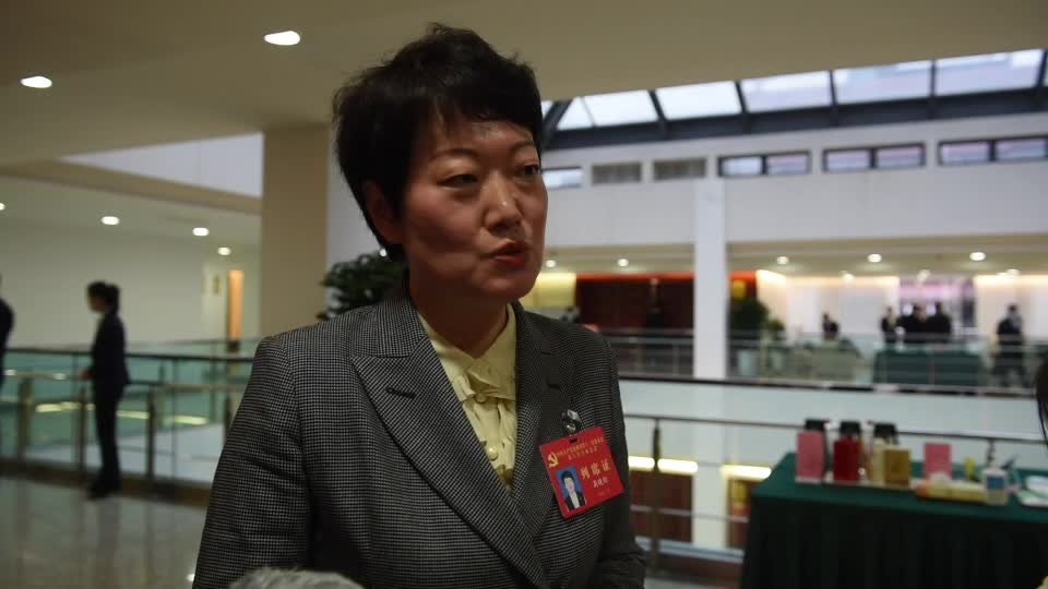 高晓昀:聚集人气 发展叫好又叫座的长顺旅游