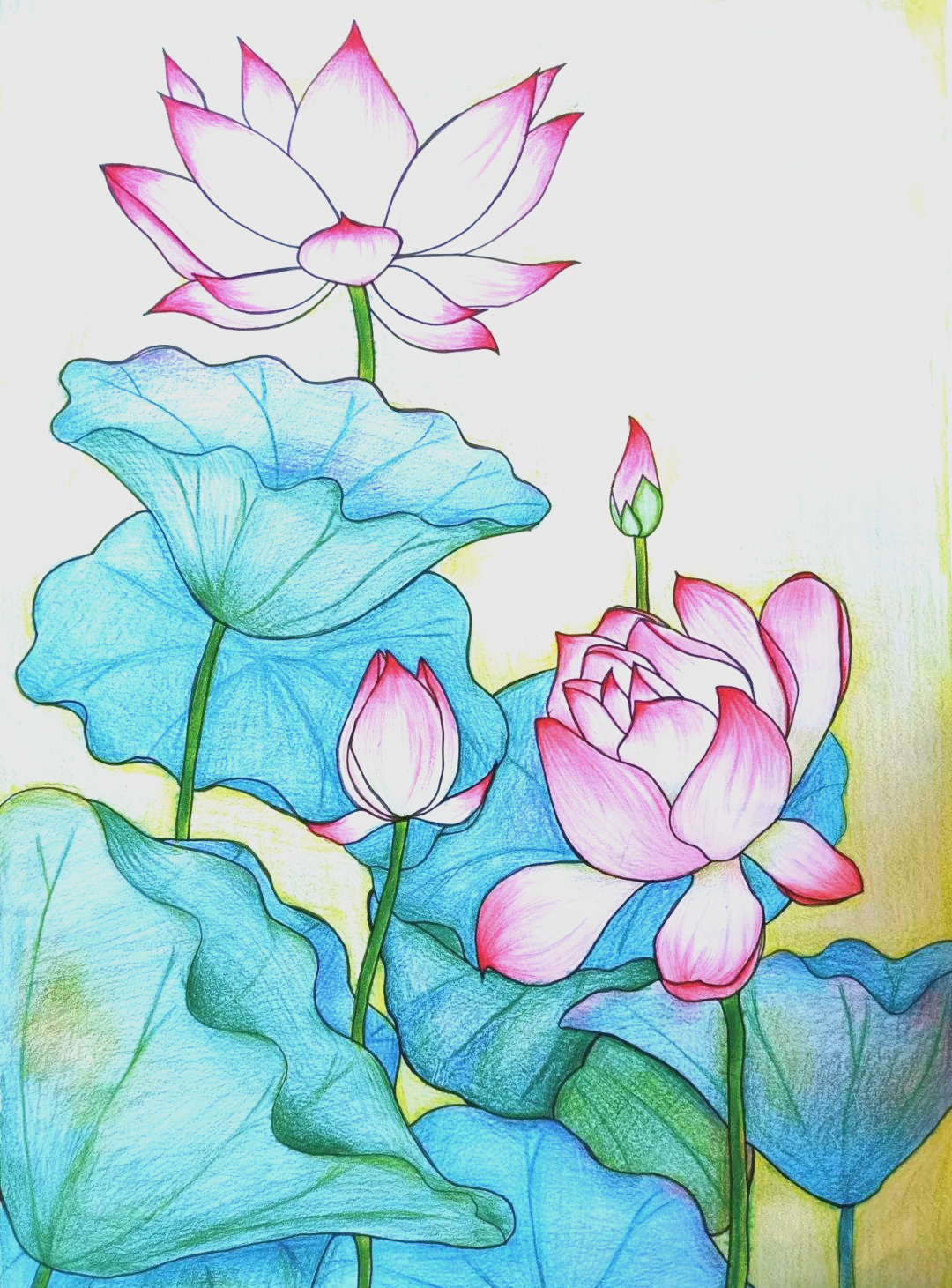 纸上生花·动漫呈现