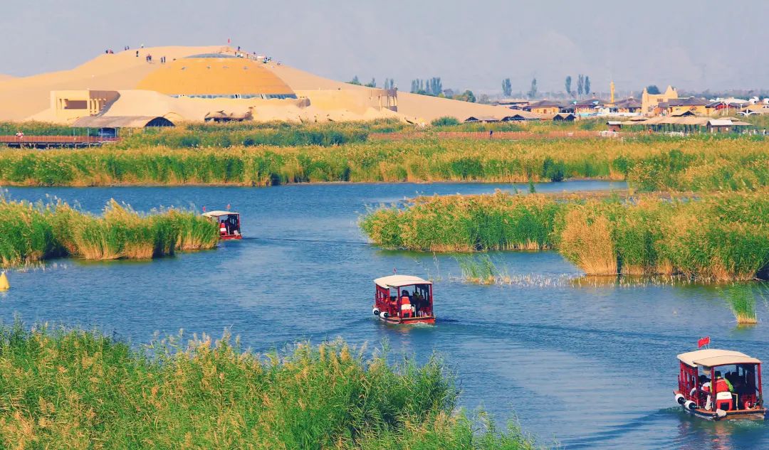 含泪按下暂停键,那些被错过的沙湖秋色到底有多美