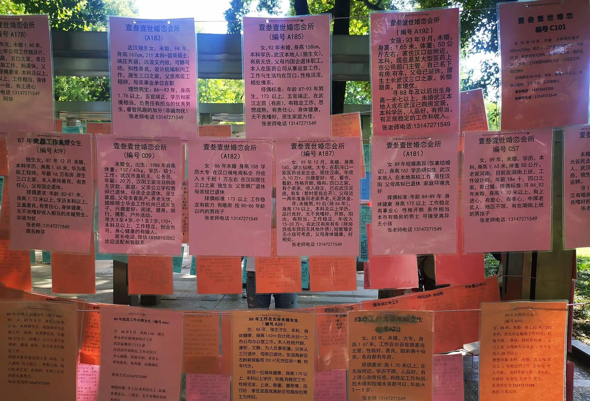 头一次逛武汉解放公园相亲角 解放公园的相亲角在武汉比较出名,今天在