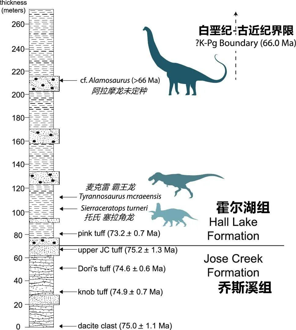 霸王龙家族新物种