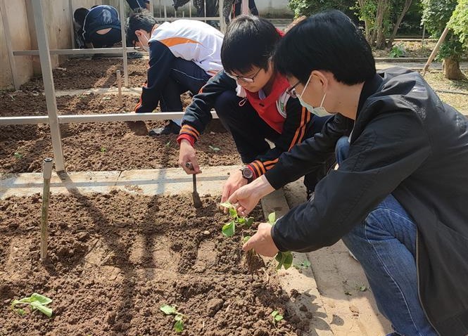 「立德树人」学生种下辣椒,茄子,这所高中农耕劳动实践拉开序幕