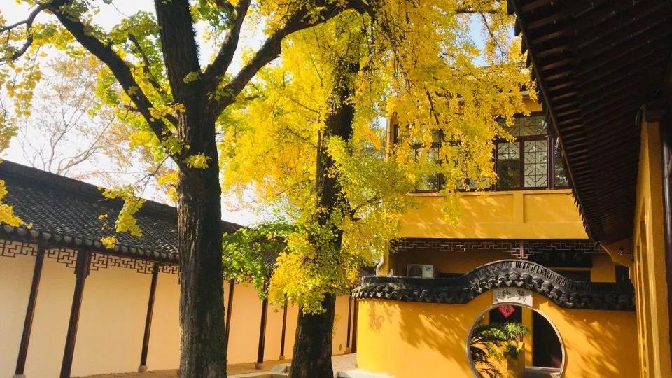 永慧禅寺┃蟠螭山美景,感叹人间值得来过!