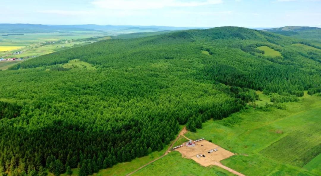 「聚焦 · 发展 · 奋进」库都尔镇:全面推进独具林区特色新型小城镇