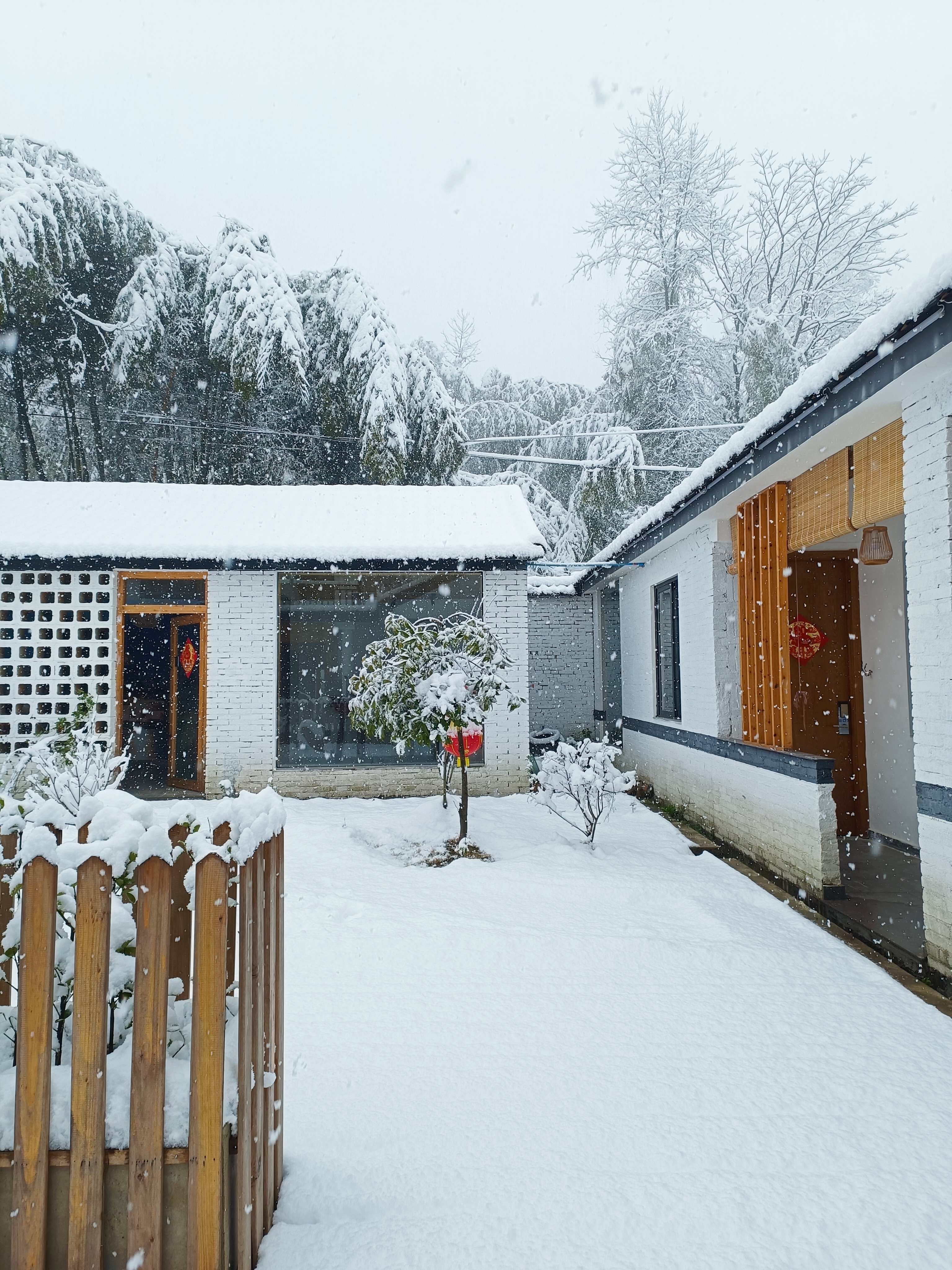 农村小院雪景图片大全图片