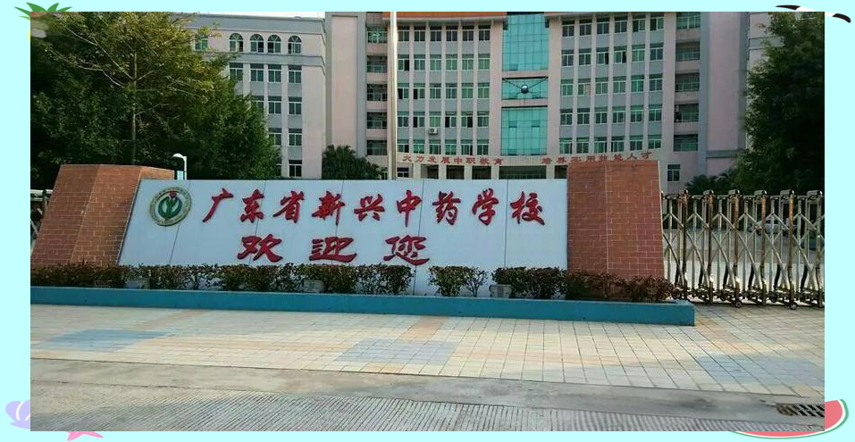 广东中专院校排名全面解析:前五与后十五的优质教育资源