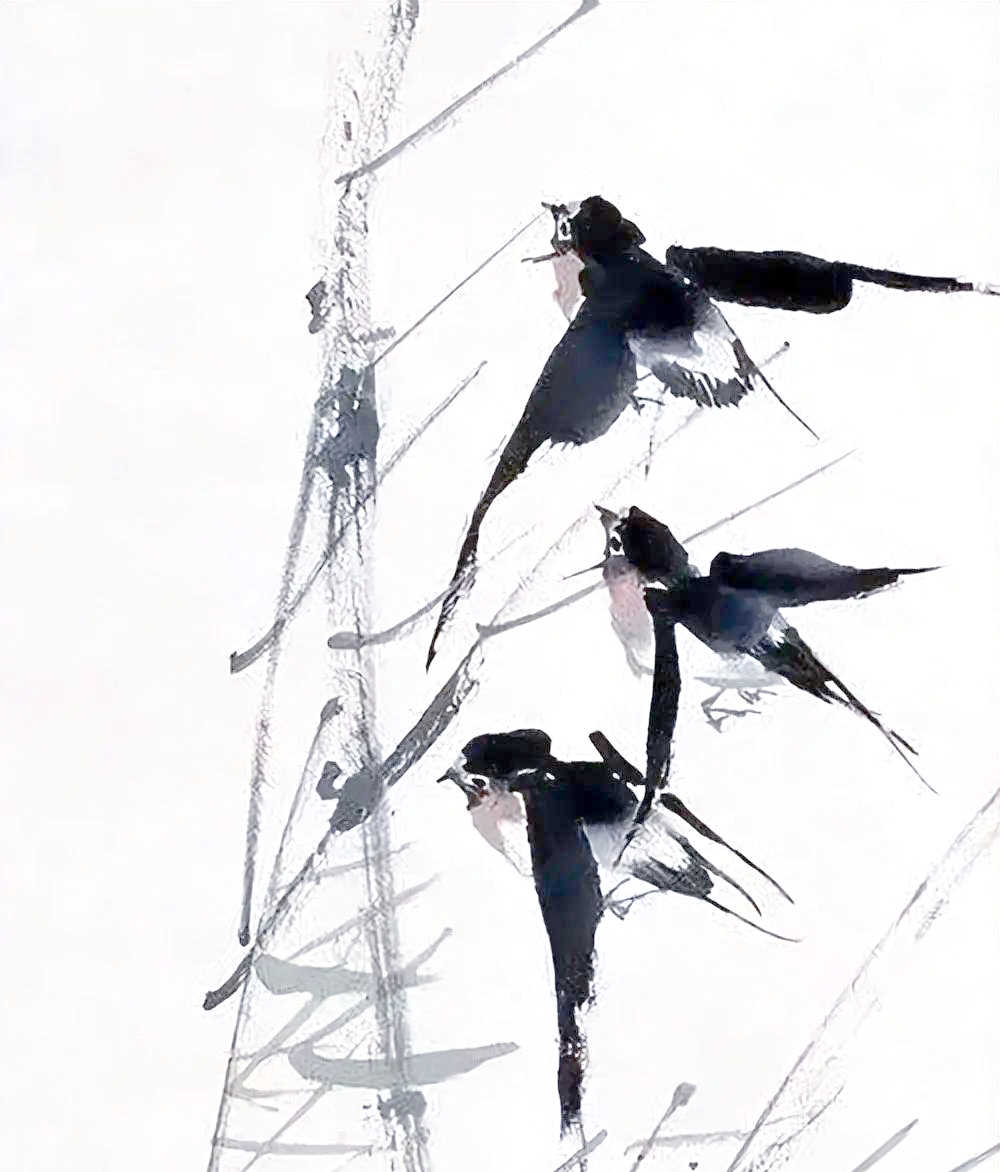 众多精彩燕子绘画,令人大饱眼福!