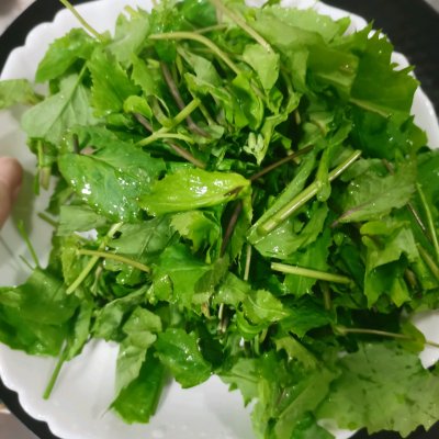 野菜系列/凉拌诸葛菜(二月兰)