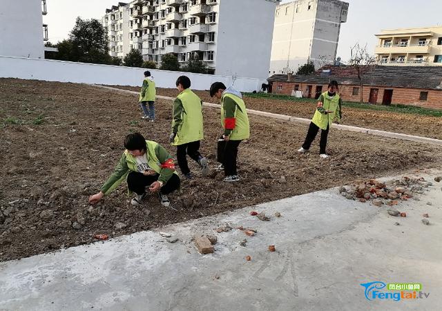 凤台县第八中学开展创建花园式绿色校园系列绿色活动