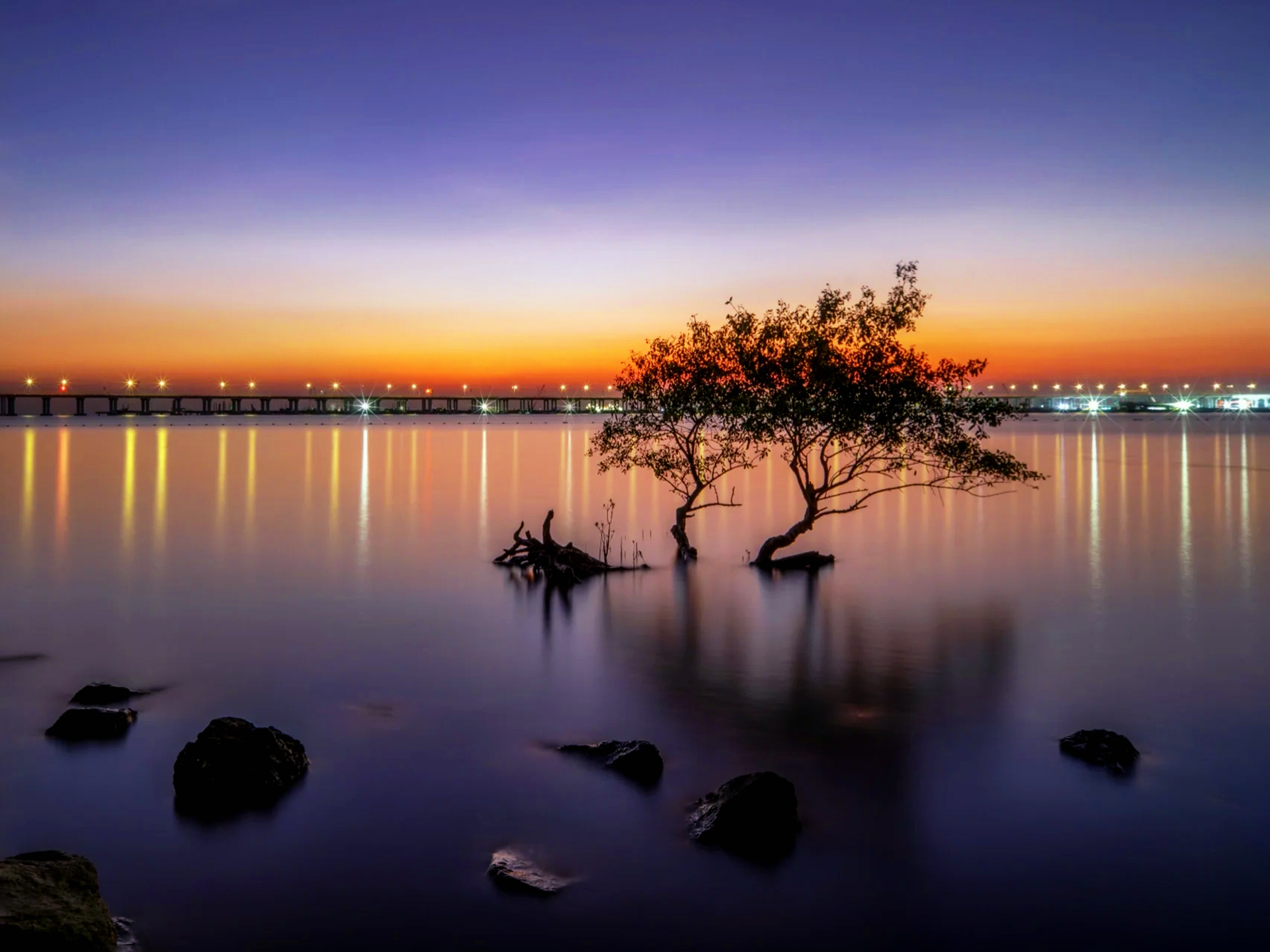 骑行西湾红树林,看最美日落