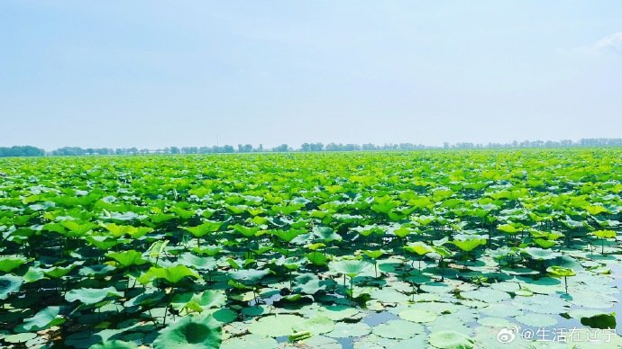 走进沈阳仙子湖