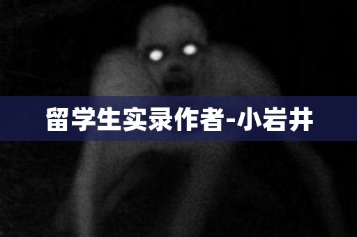 留学生实录作者-小岩井