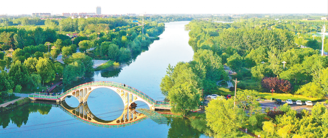 莘县好风景,登上人民日报头版