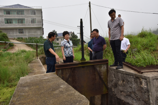 谢学龙深入伏口镇检查安全生产