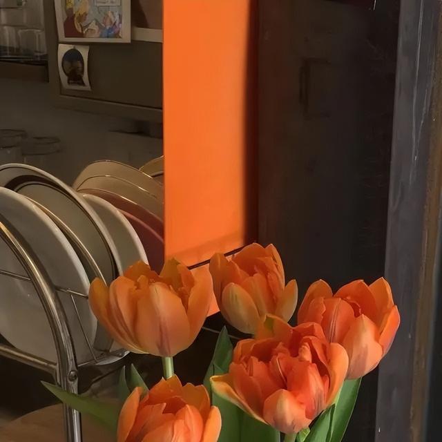 特别有氛围感的背景图