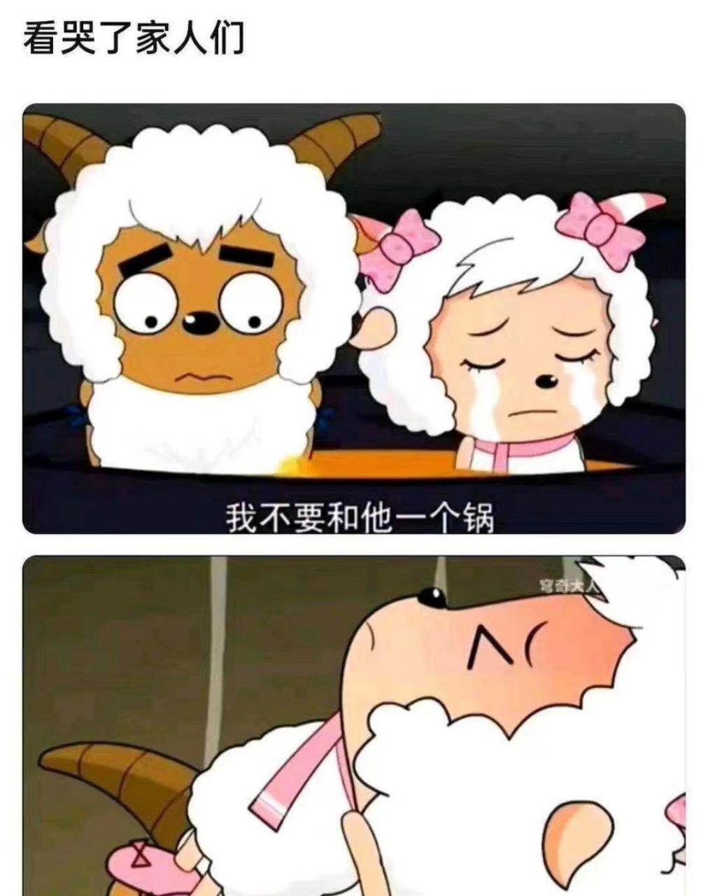 沸羊羊一无所有