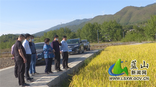 唐慧云一行到蓝山调研秋冬农业生产和乡村振兴工作
