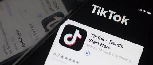 为什么tiktok注册会卡在生日