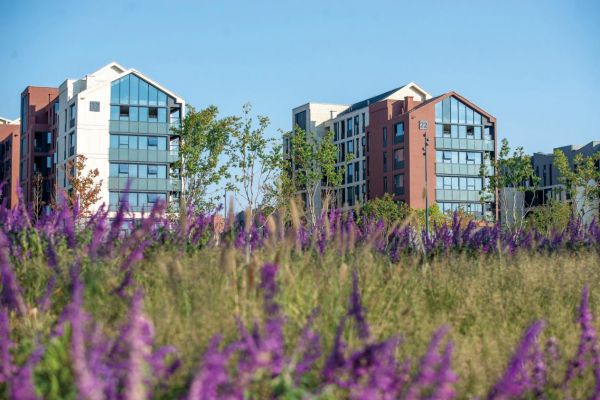 一直探索的理想,合肥空港国际小镇有了这些答案