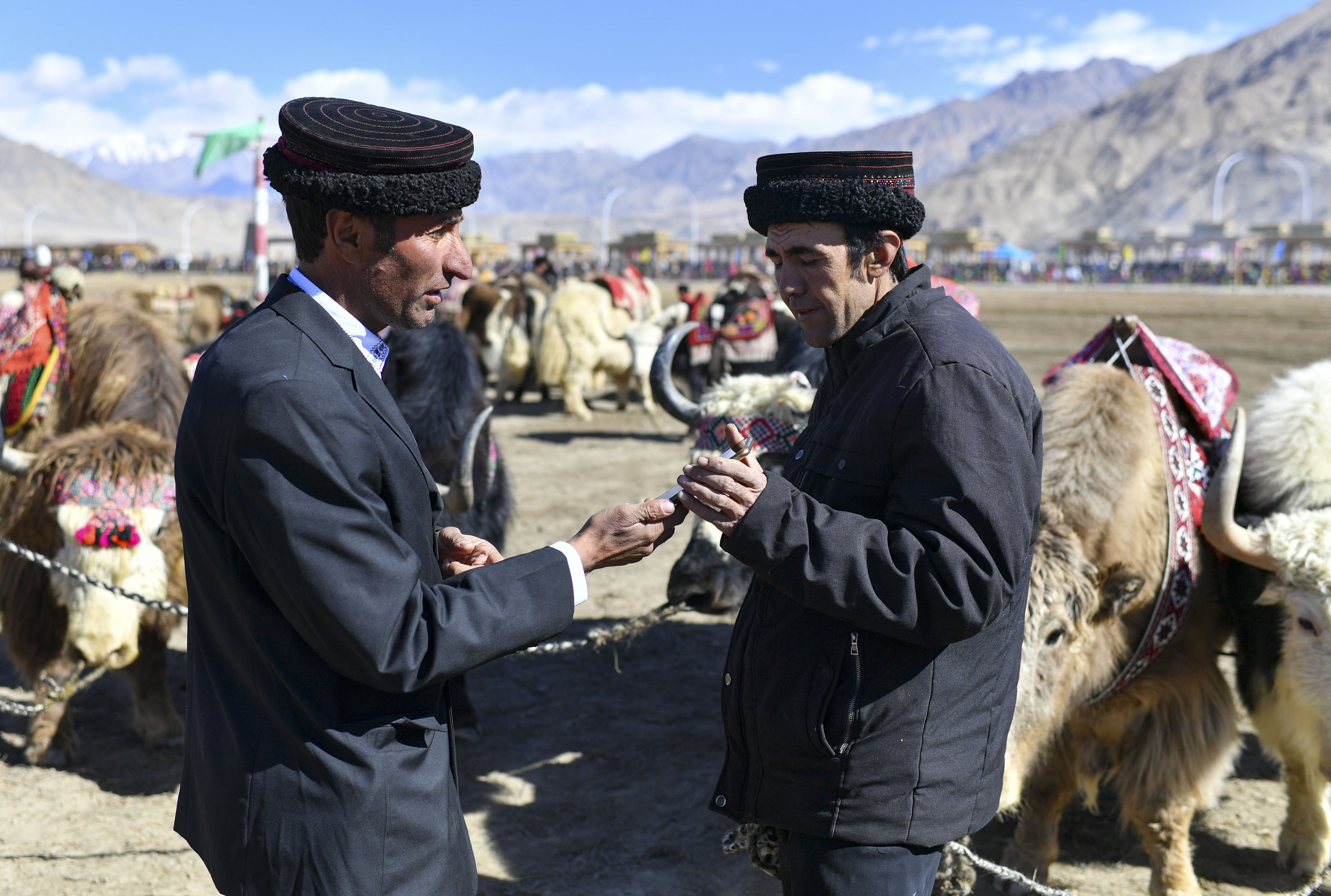 帕米尔高原上的牦牛骑士