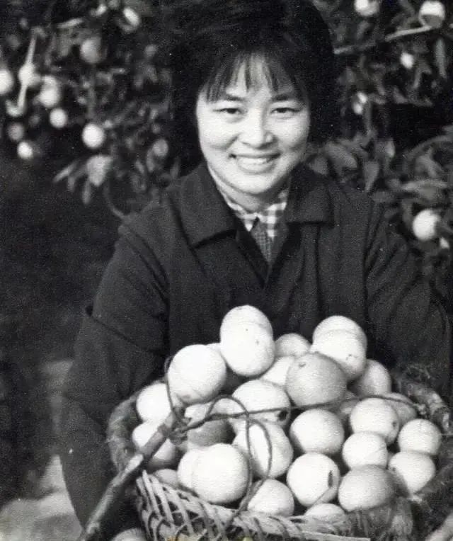 《两江文苑》总369期|缅怀诗人傅天琳专辑