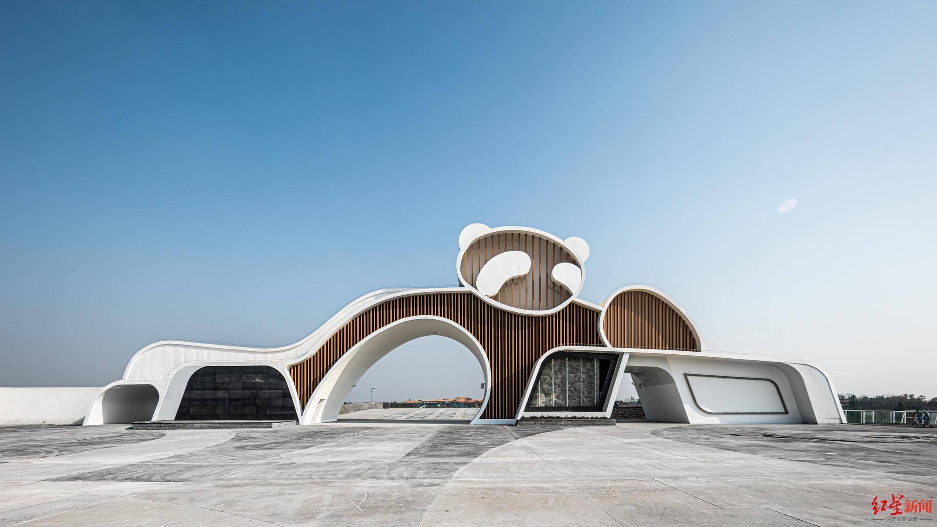 首批入住43只滚滚!成都大熊猫繁育研究基地扩建区元旦预开园试运营