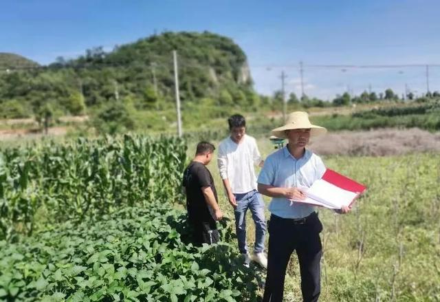 木岗场村"三个一"壮大村集体经济 助推乡村振兴