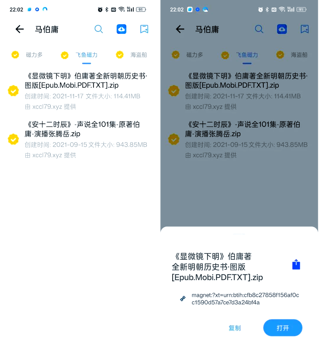 磁力搜索用不了了吗=现在磁力搜索怎么没办法用了