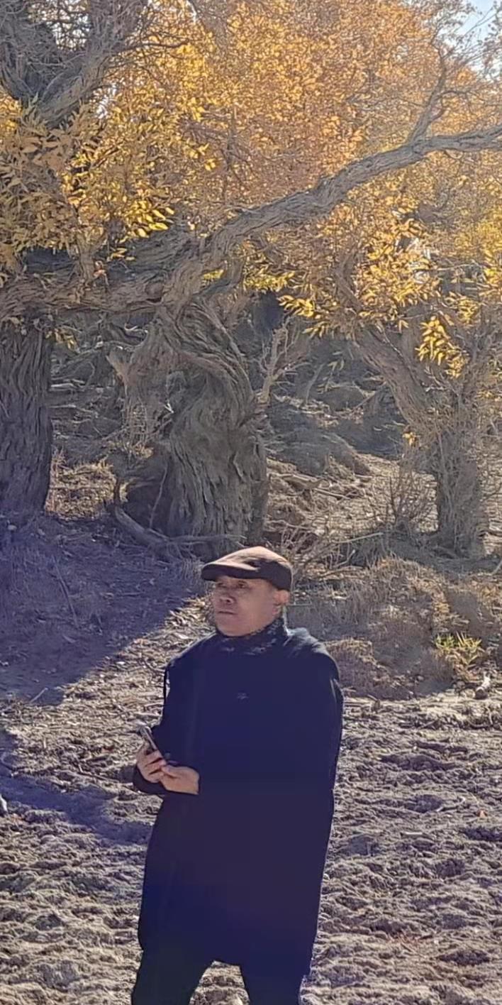 山水画家宋闻鉴绘写胡杨 "铮铮铁骨千年铸,不屈品质万年颂.