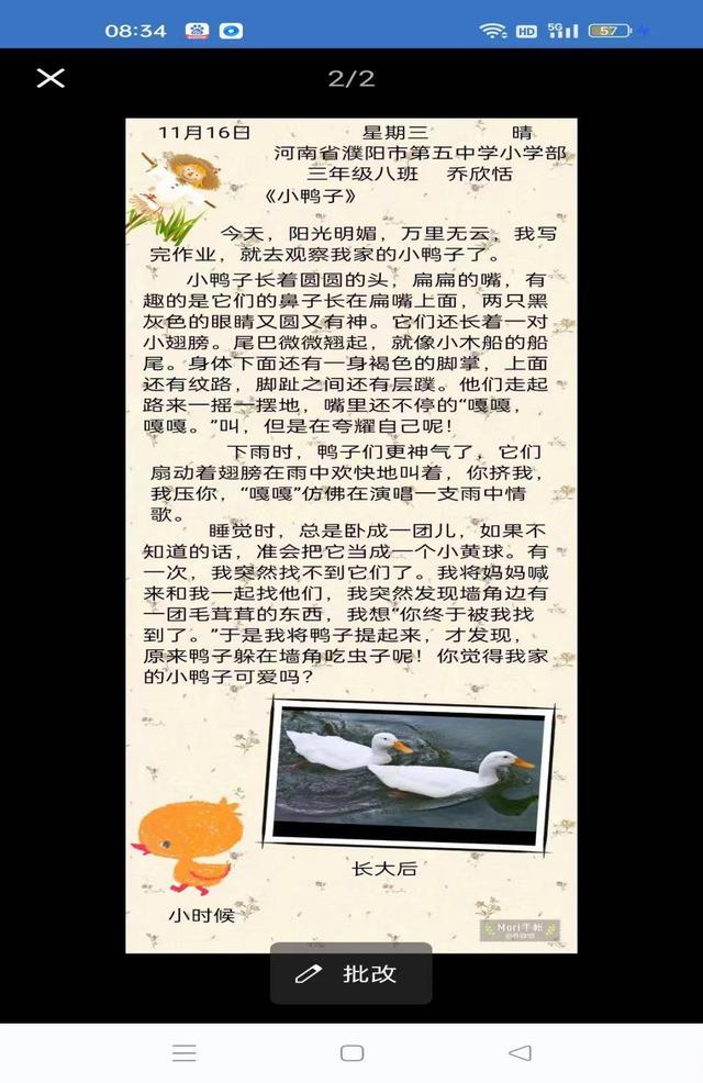 巧用mori手帐,记录多彩生活——濮阳市第五中学三年级习作展