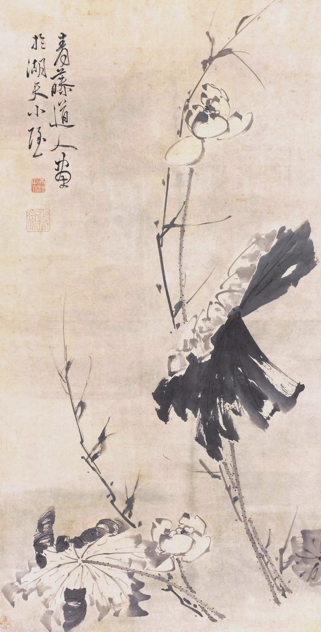 欣赏徐渭绘画,感受艺术魅力