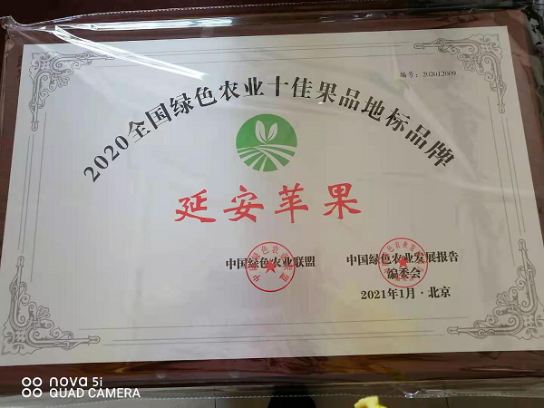 "延安苹果"获评2020全国绿色农业十佳果品地标品牌