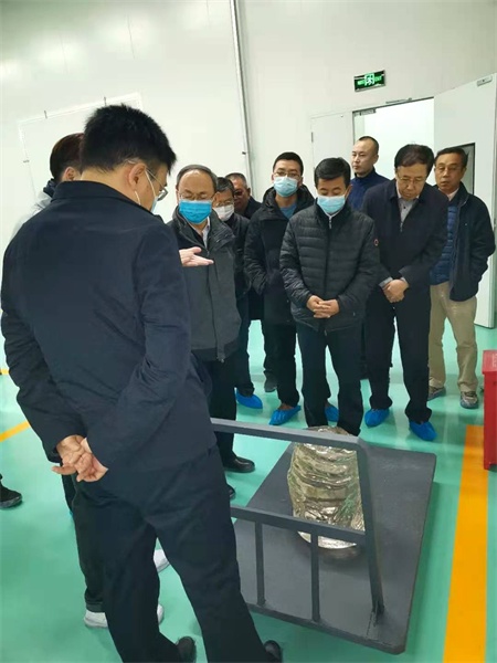 中国工程学院罗先刚院士在半导体产业园进行调研