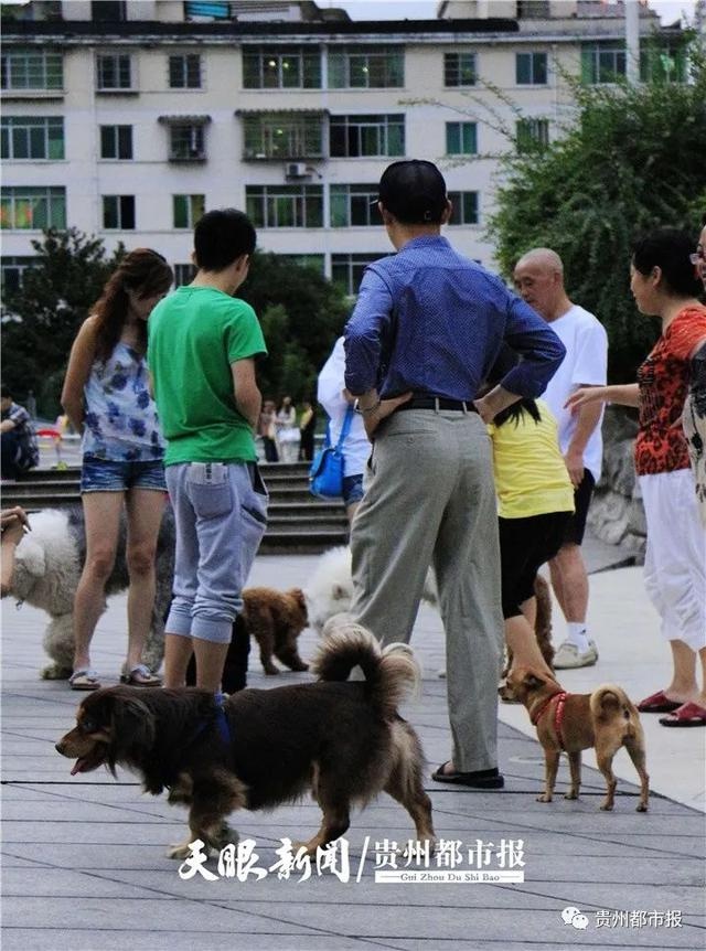 遛狗拴绳入法图片