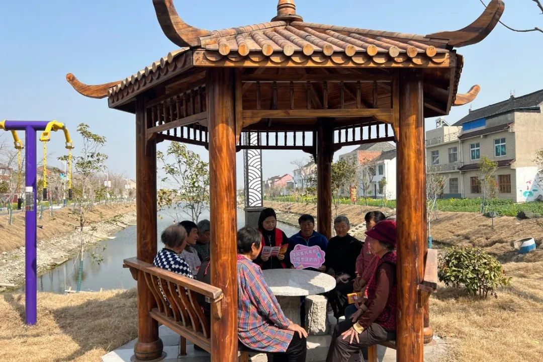 泰兴市黄桥镇大张村妇联巾帼n助力新农村建设