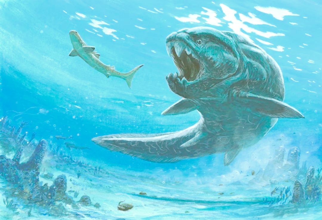 没有牙齿却咬合力惊人,邓氏鱼:水中霸主,体型巨大且无天敌!