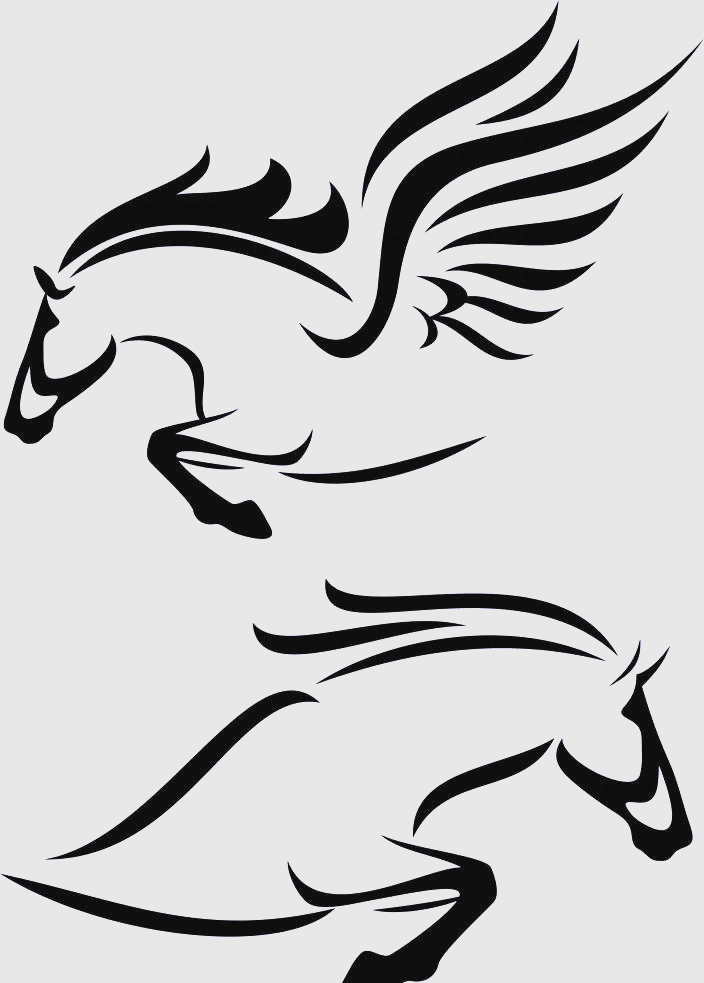 简笔画马全攻略,轻松画出一匹骏马