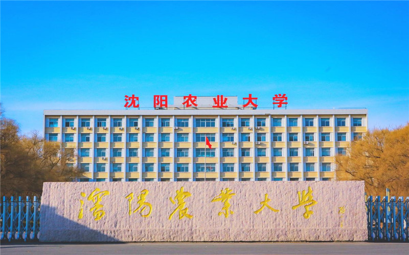 沈阳农业大学校区图片