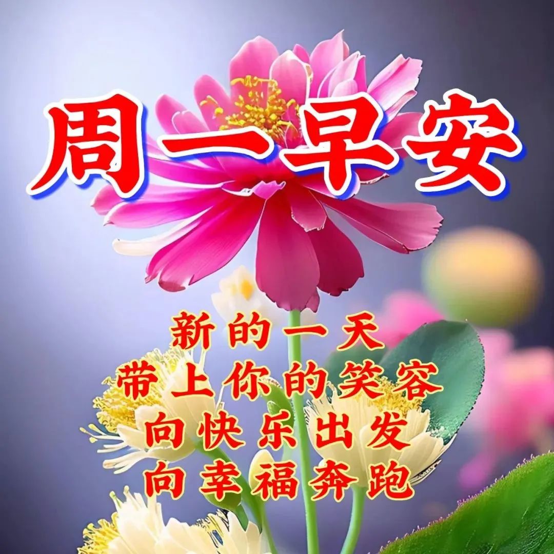 周一快乐祝福图片